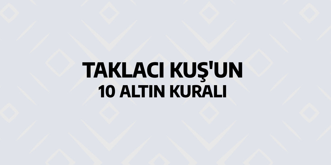 Taklacı Güvercin 10 Altın Kuralı!