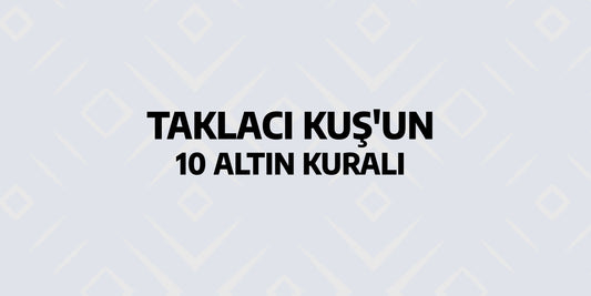 Taklacı Güvercin 10 Altın Kuralı!